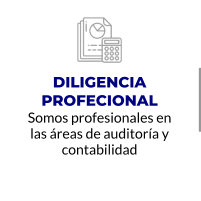 DILIGENCIA PROFECIONAL Somos profesionales en las áreas de auditoría y contabilidad