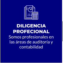 DILIGENCIA PROFECIONAL Somos profesionales en las áreas de auditoría y contabilidad